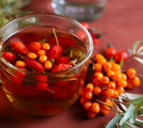 Полезные свойства облепихи