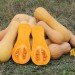 Плюсы мускатной тыквы