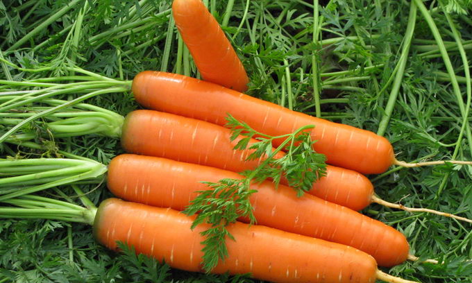 Что полезно кушать? Морковь.