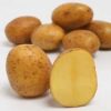 11489 Картофель, сорт Элитный семенной картофель.