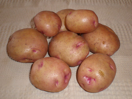 Картофель, сорт Бородянский розовый.