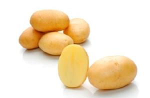 Картофель, сорт Элитный семенной картофель.