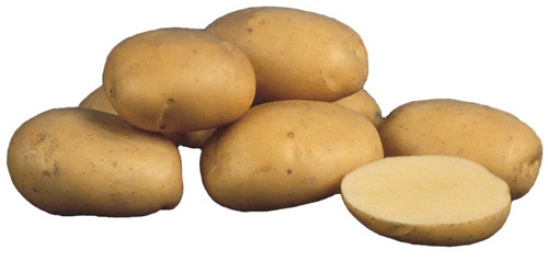 Картофель, сорт Санте.