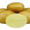 11582 Картофель, сорт Агаве.