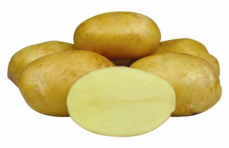 Картофель, сорт Леони.