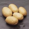 11695 Когда картофелю нужно больше влаги
