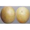 11817 Картофель, сорт Элитный семенной картофель.