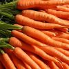 13695 Морковь, сорт Тинга.