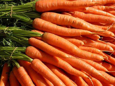 Морковь, сорт Небула F1.