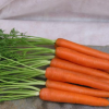 14276 Морковь, сорт Карини.
