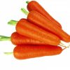 14304 Морковь, сорт Оленка.