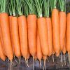 14376 Морковь, сорт Наоми