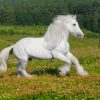 17491 Лошадь, порода Авелинская