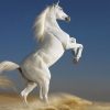 17535 Лошадь, порода Арабская или Аравийская