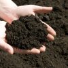 25492 Как определить кислотность почвы