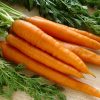 25350 Секреты выращивания моркови