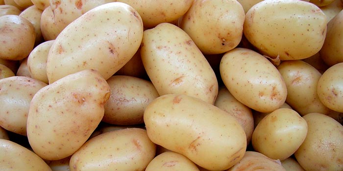 Картофель сорт Нектар (Голландия)