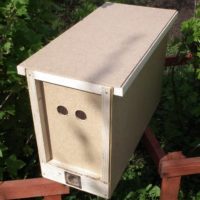 31959 Как сделать ловушку для пчел и заманить их туда