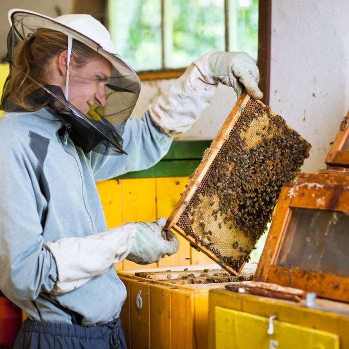Оборудование для пчеловодства