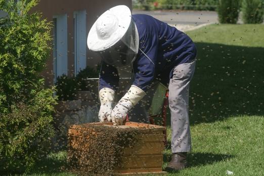 32164 Какие существуют методы пчеловождения?