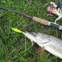 32214 Инструменты для ловли хищной рыбы – спиннинги и воблеры