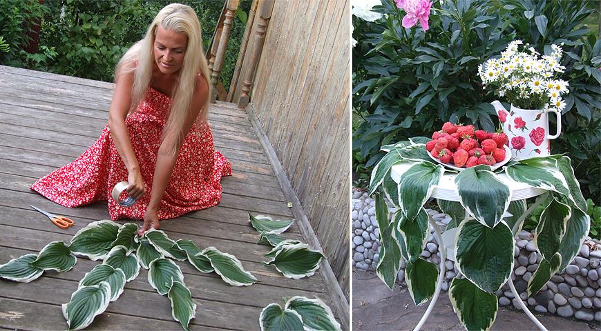 Как сделать за 5 минут красивую растительную скатерть для дачного праздника