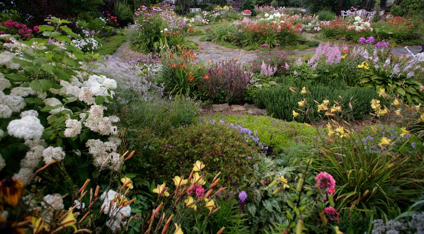 Фэн-шуй в саду: как привлечь богатство, сделать садик мхов и украсить сад по всем правилам