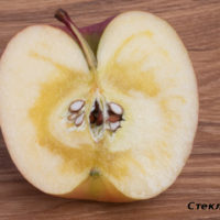 37320 Диагноз по урожаю яблок: что случилось с яблоками?