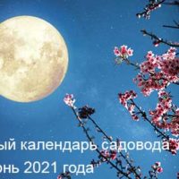 39467 Лунный календарь садовода и огородника на июнь 2021 года