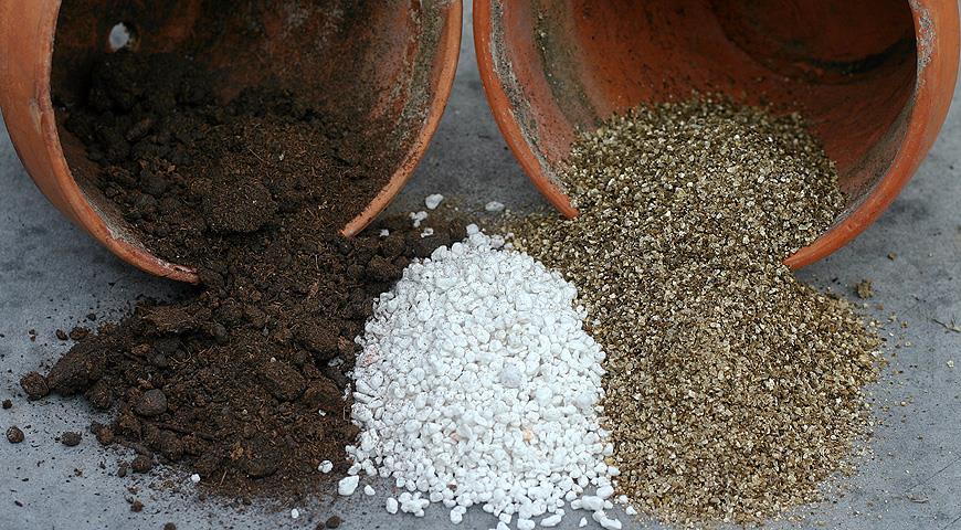 Как сделать покупной универсальный грунт пригодным для посева рассады: почвоулучшители и добавки для грунта