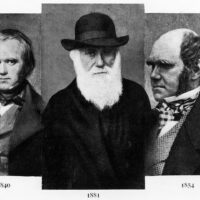 43204 12 февраля день рождения Чарльза Дарвина: 10 фактов о его жизненном пути