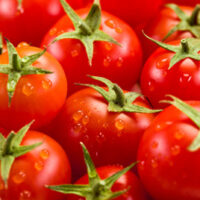 43254 Ученые обнаружили, что нужно томатам для полного счастья