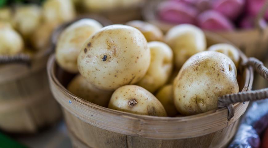Нужно ли проращивать картофель перед посадкой и другие важные вопросы про картошку