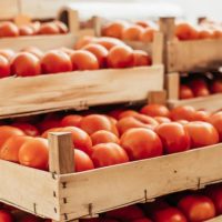 45710 Как сохранить урожай томатов, перцев, баклажанов, огурцов и дынь до самого Нового года