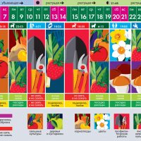 45424 Лунный посевной календарь садовода огородника на сегодня 02-10-2021
