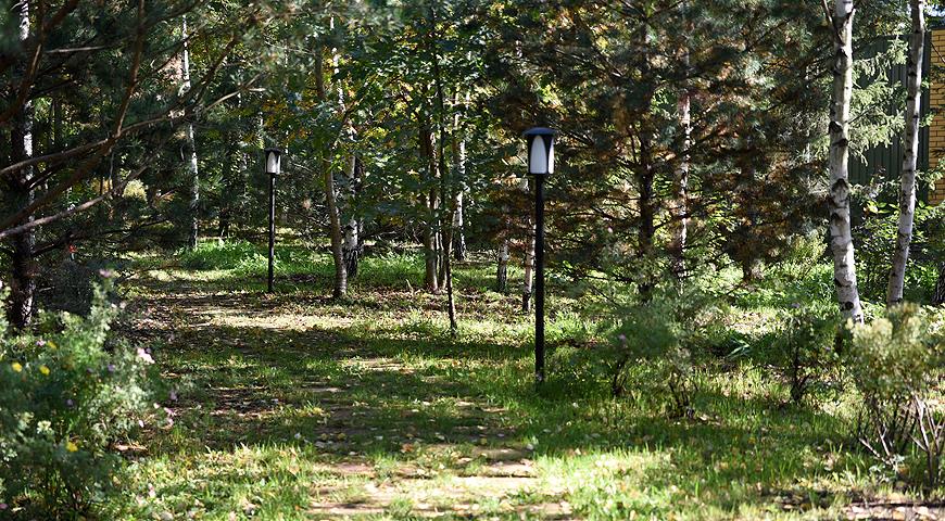 Самые красивые сады России: У леса на опушке