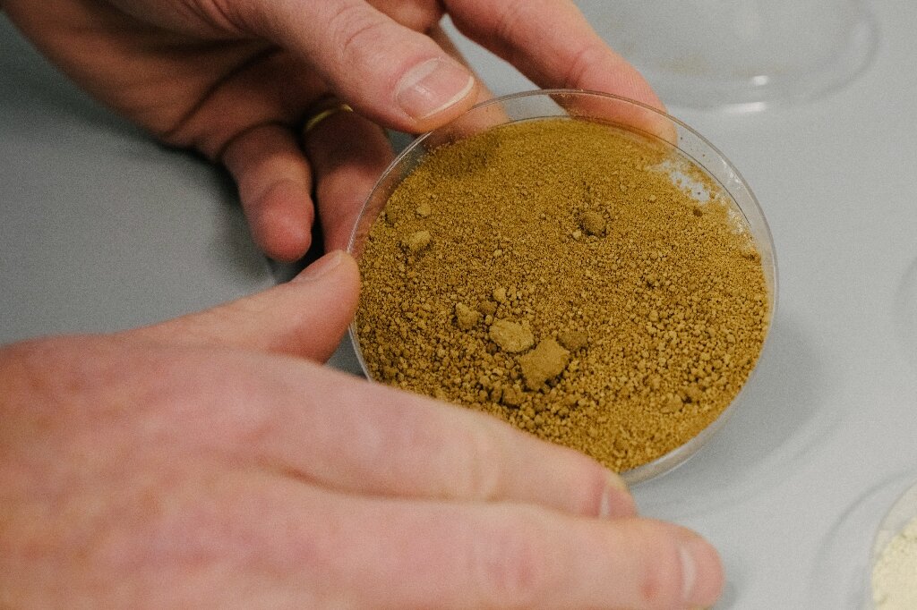 47426 Финские ученые создали «кофе из пробирки»