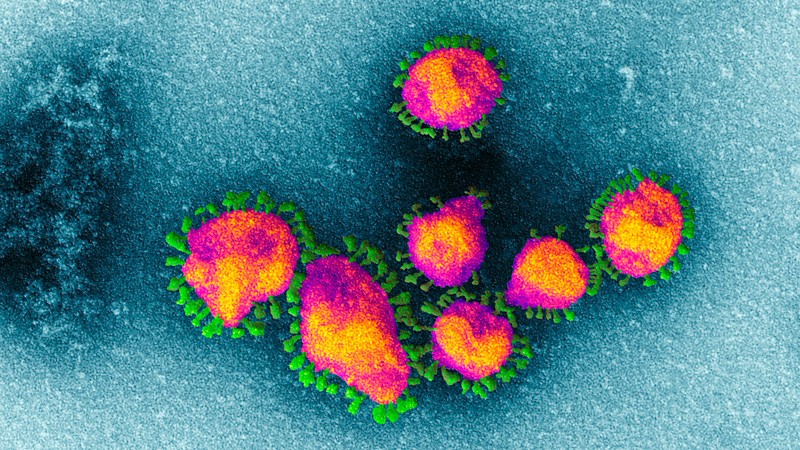 48090 В Африке выявили новый потенциально опасный штамм коронавируса. Он уже попал в Китай