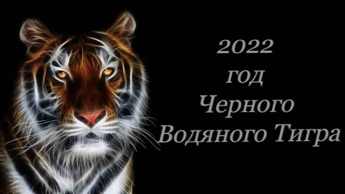 48229 2022 год Черного Водяного Тигра