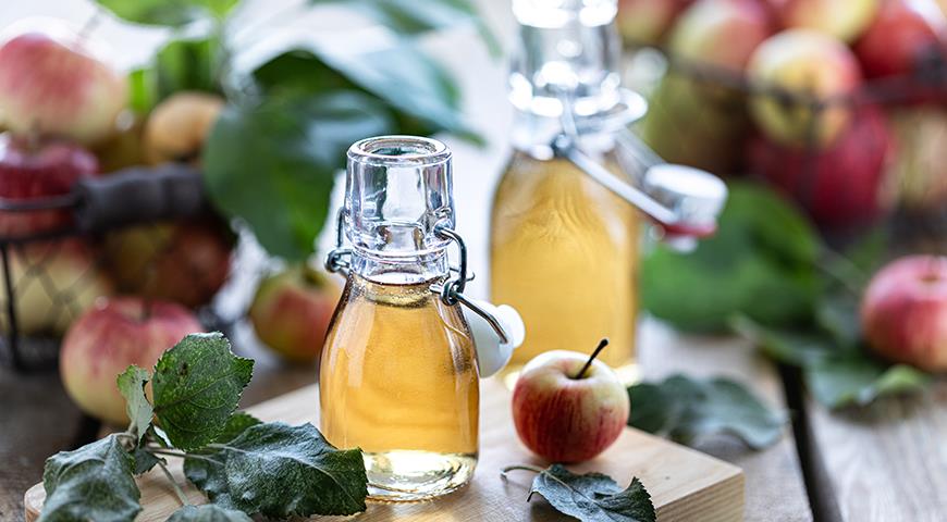 Как самому в домашних условиях приготовить яблочный уксус?