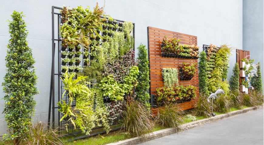 зеленые стены, вертикальное озеленение