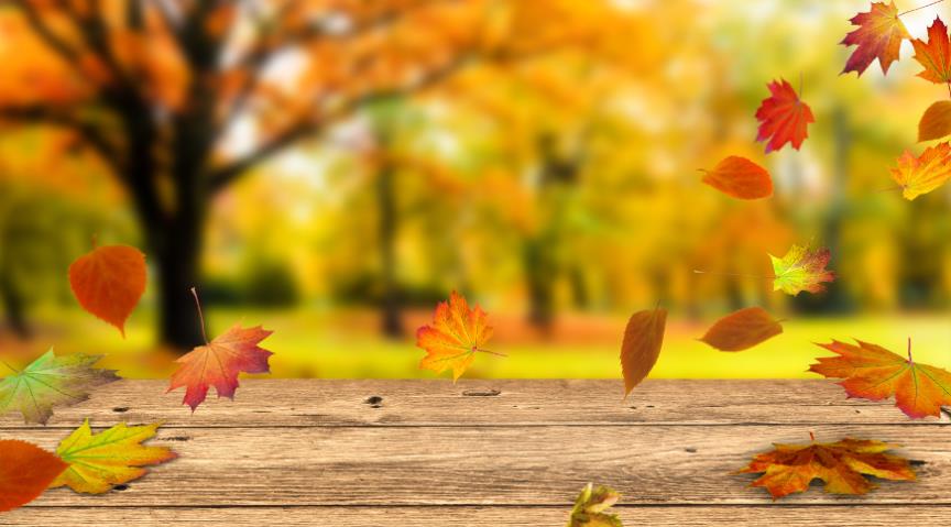 5 способов использовать осенние листья в саду с пользой