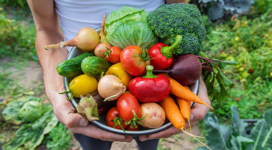 Овощной гороскоп: узнайте, какой вы овощ
