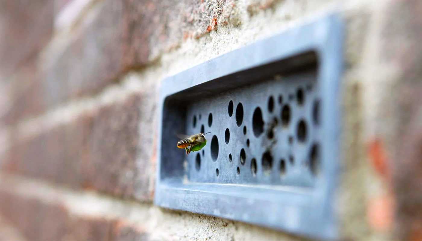 57413 «Кирпичи с сюрпризом» могут помочь спасти пчел