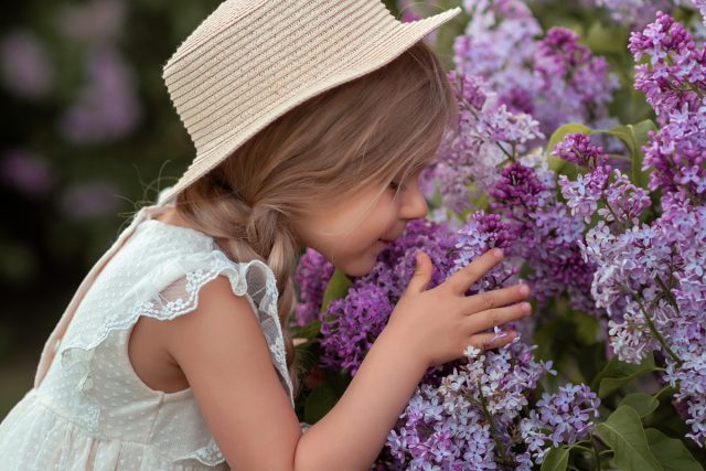 61644 Лечимся запахами — 12 ароматных кустарников, полезных для здоровья