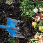 62426 Траншейное компостирование — идеальный метод для ленивых огородников