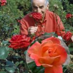 69859 Луи де Фюнес и его особенные розы