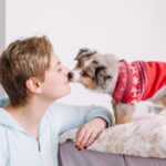 71284 10 ошибок владельцев щенков: как вырастить здоровую и воспитанную собаку
