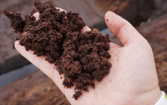 Торф помогает почве удерживать воду, что, в свою очередь, позволяет жизненно важным питательным веществам и минералам дольше сохраняться возле корней растений