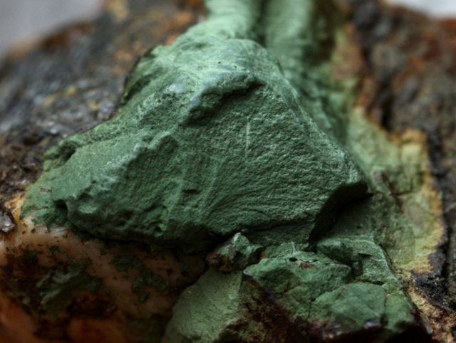 Глауконит представляет собой богатые питательными веществами морские отложения, датируемые позднемеловым периодом